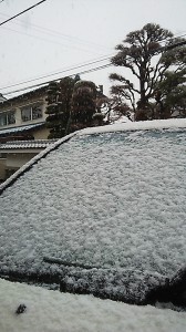 ついに松本にも雪が積もりだした！