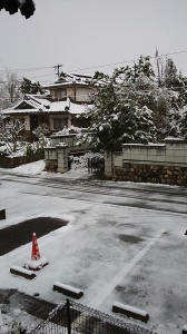 観測史上一番遅い積雪